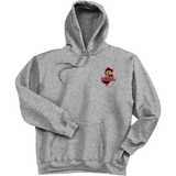 Jersey Shore Wildcats Super Heavyweight Fleece Hoodie
